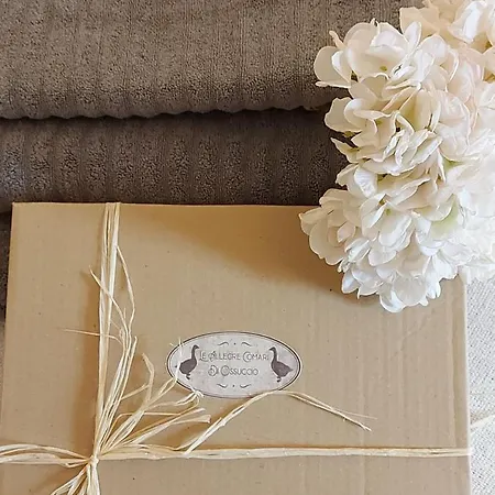 Le Allegre Comari Di Ferienhaus Ossuccio