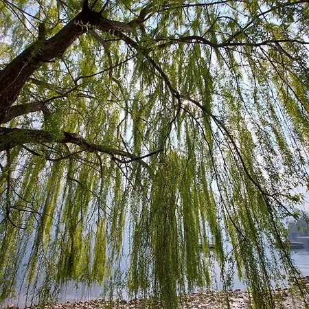 Le Allegre Comari Di Ferienhaus
