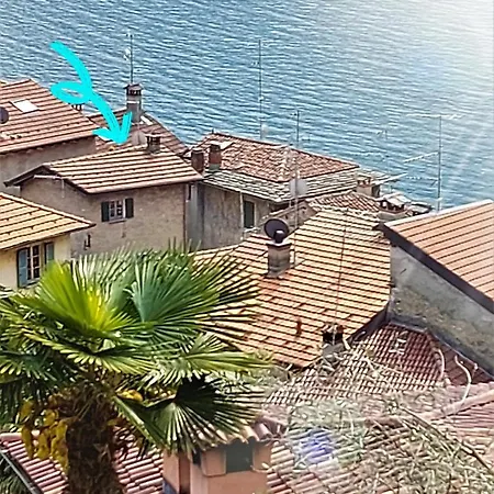 Le Allegre Comari Di *