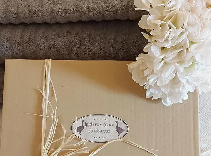 Le Allegre Comari Di 別荘 オッスッチョ